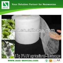 protective bags for fruit tree cultivation